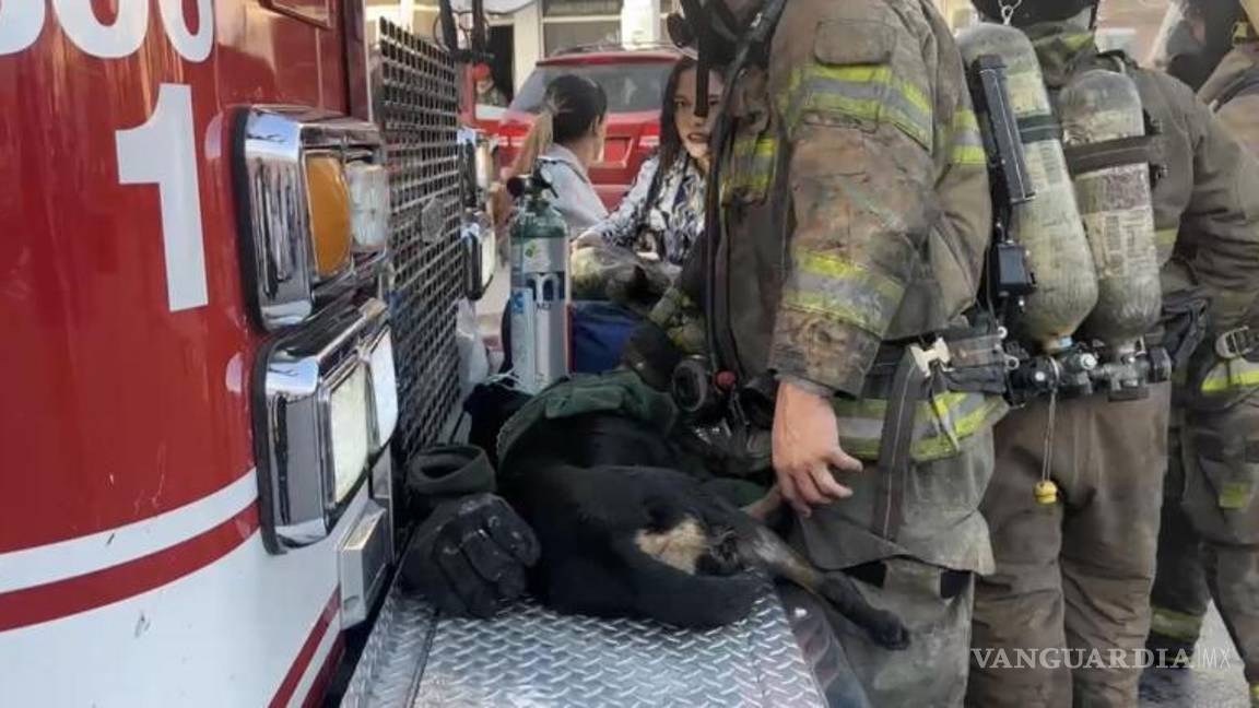 $!Un perro y un gato recibieron oxígeno tras inhalar humo y fueron estabilizados en el lugar.