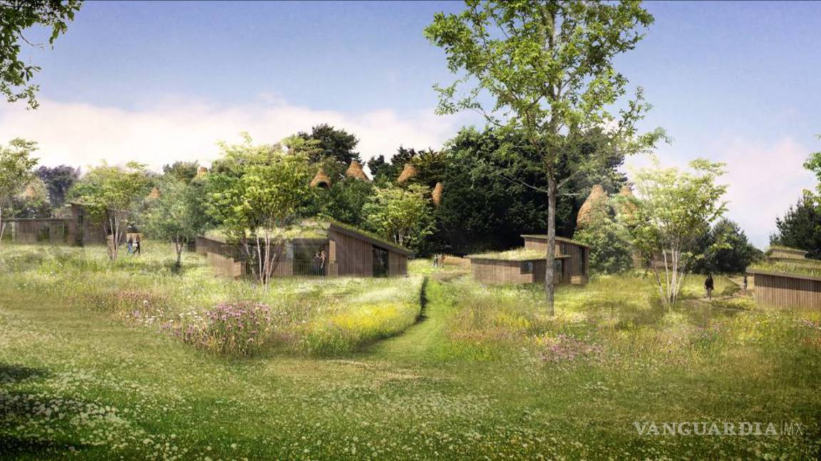 $!Viviendo en un "nido"