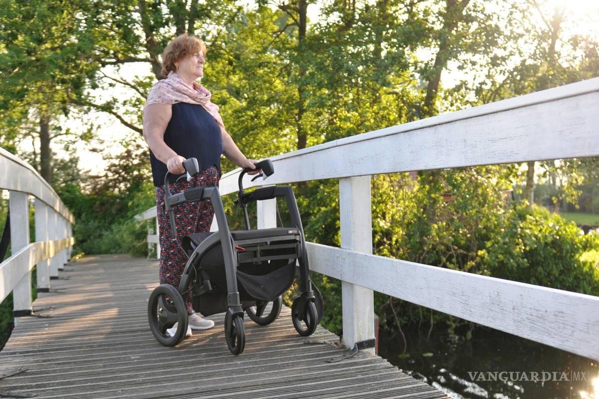 Moléculas de café y lichi podrían ayudar a frenar el avance del Parkinson, revela investigación de la UAdeC