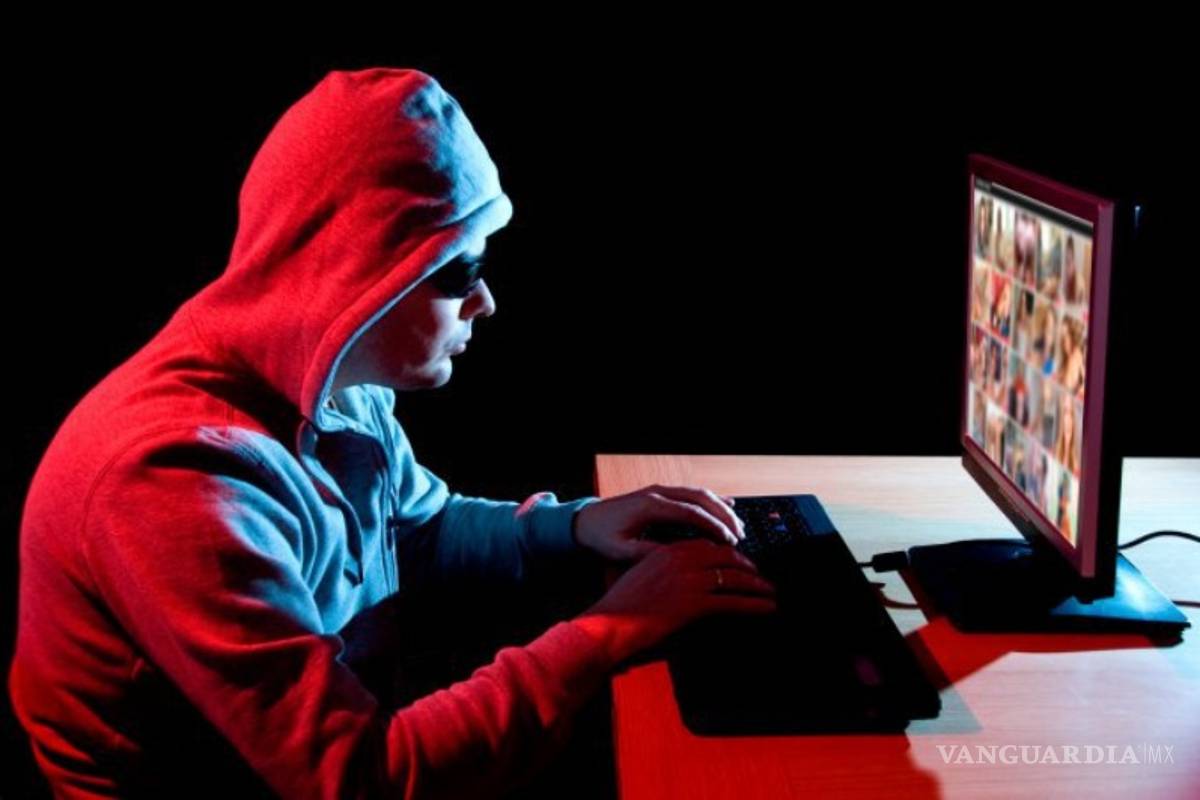 Desarticulan FBI y Europol una enorme red de pornografía infantil