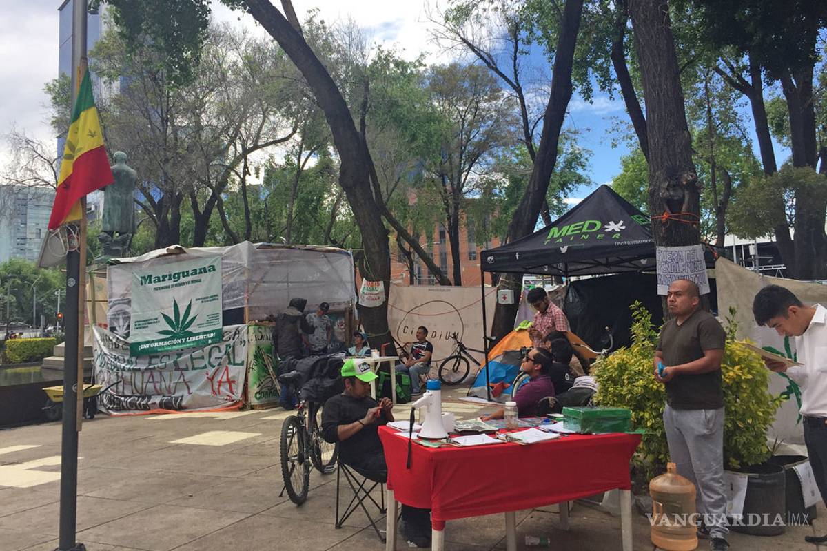 Pro-mota, 7 meses de plantón afuera del Senado de la República