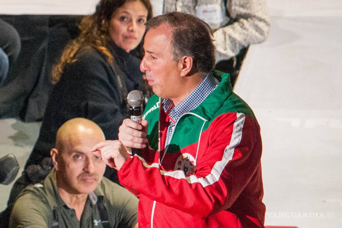 Ingresaron a México el año pasado 900 mil armas: Meade