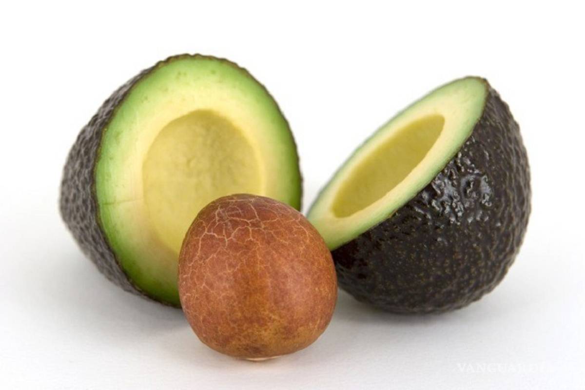 ¿La semilla del aguacate es comestible?