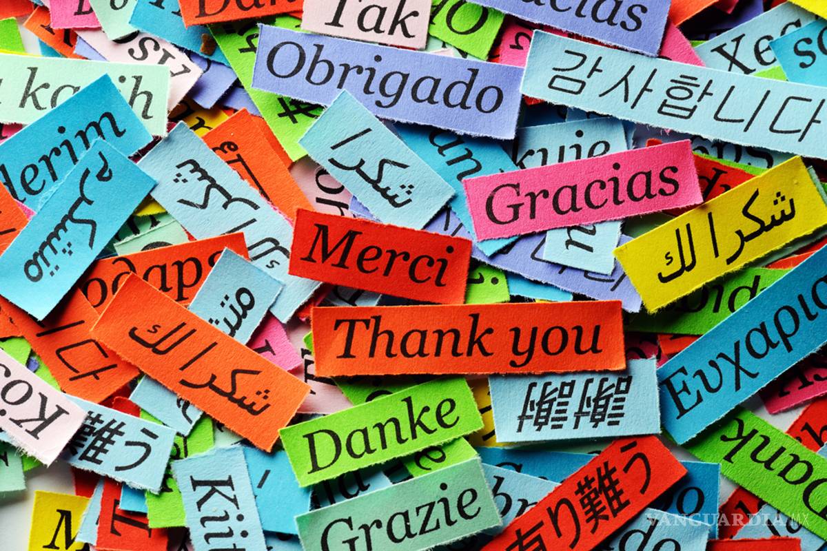 ¿Qué le pasa a tu cerebro cuando aprendes una nueva lengua?