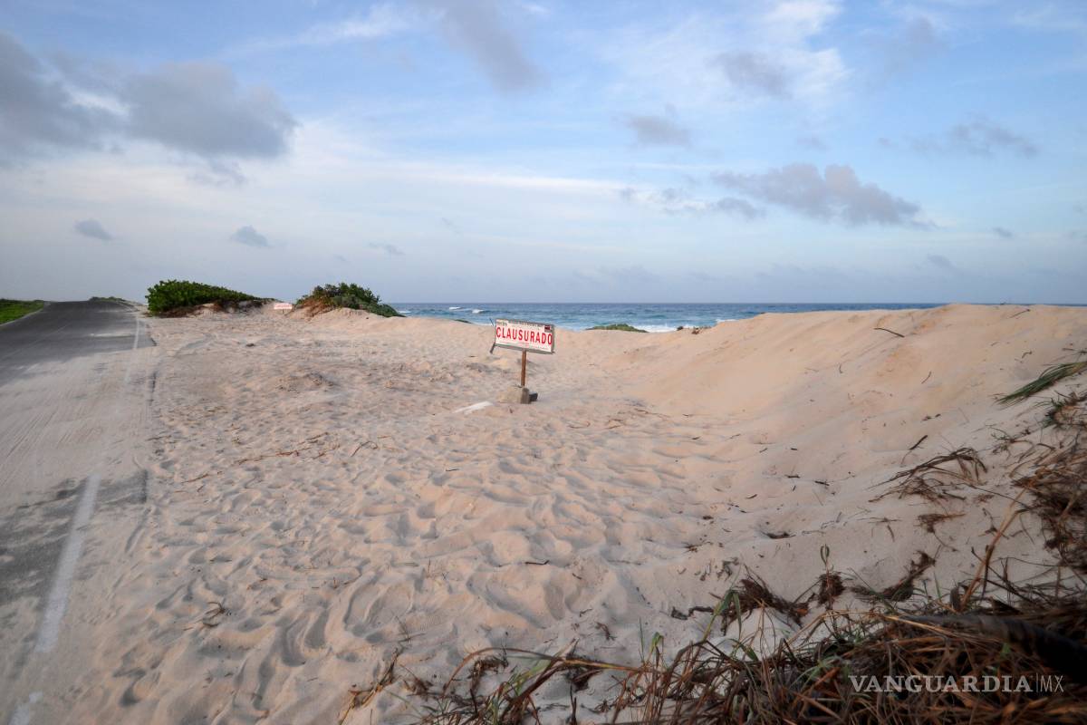 Ambientalistas denuncian posible ecocidio en área natural protegida de Cozumel