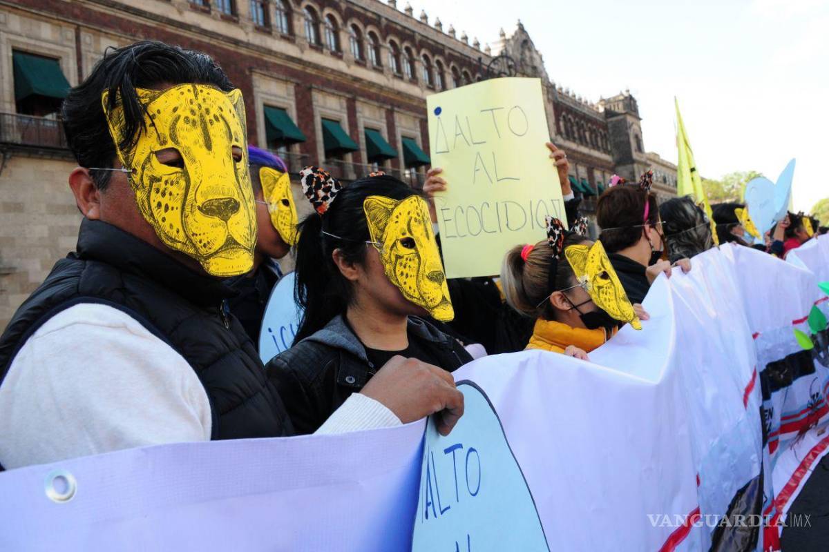 Ambientalistas se amparan contra la construcción del tramo 5 del Tren Maya