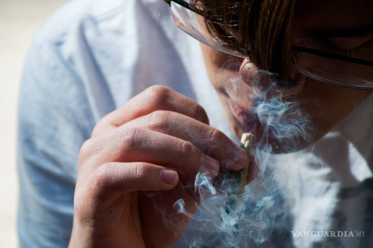 Esta semana Senado discutirá la despenalización de la mariguana