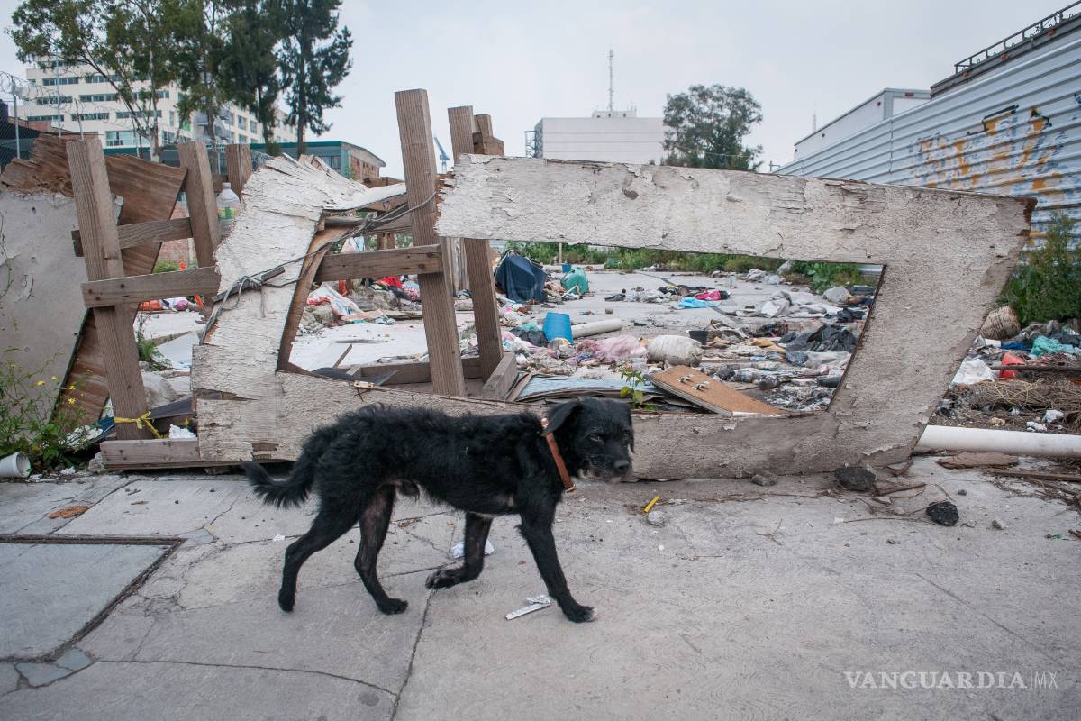 15 impactantes videos a un año del terremoto del 19 de septiembre