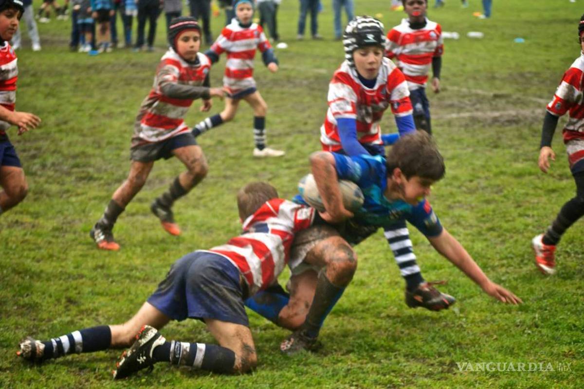 Médicos ingleses piden que las escuelas prohíban las tecleadas en el rugby