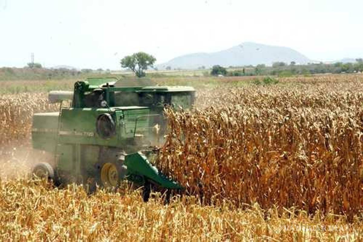 Apoyos escalonados por tamaño de productor, recomienda Coneval