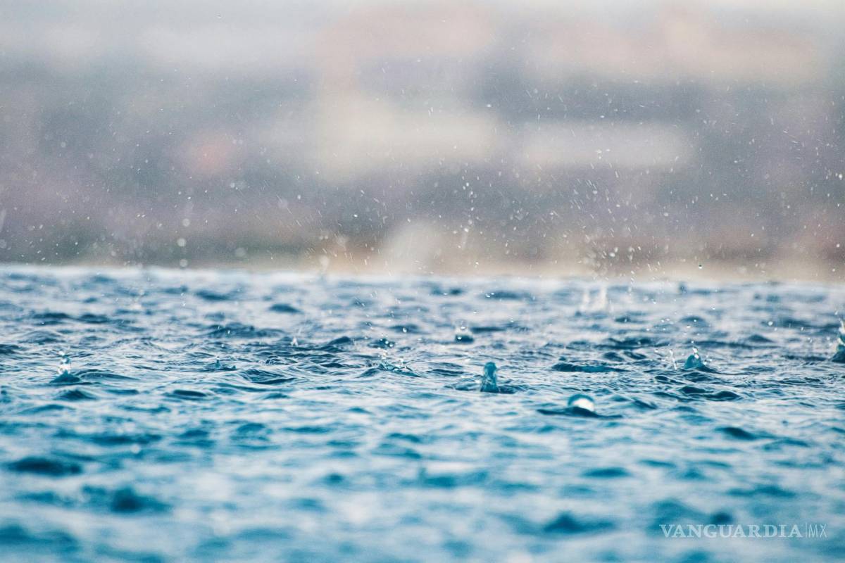 $!Si bien la geosmina es el componente principal del petricor, otros elementos contribuyen a su complejidad aromática.