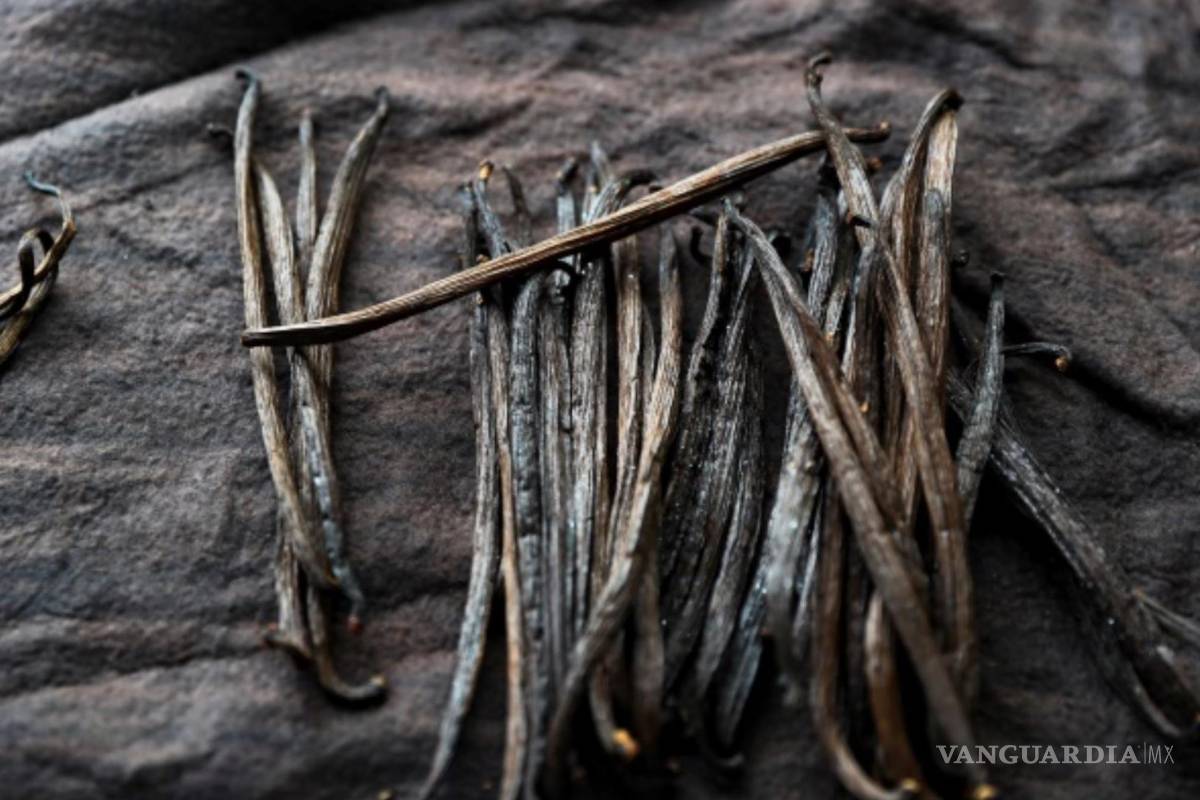 ¡Asombroso!, un nuevo proceso usa la vainillina para el almacenamiento sostenible de electricidad