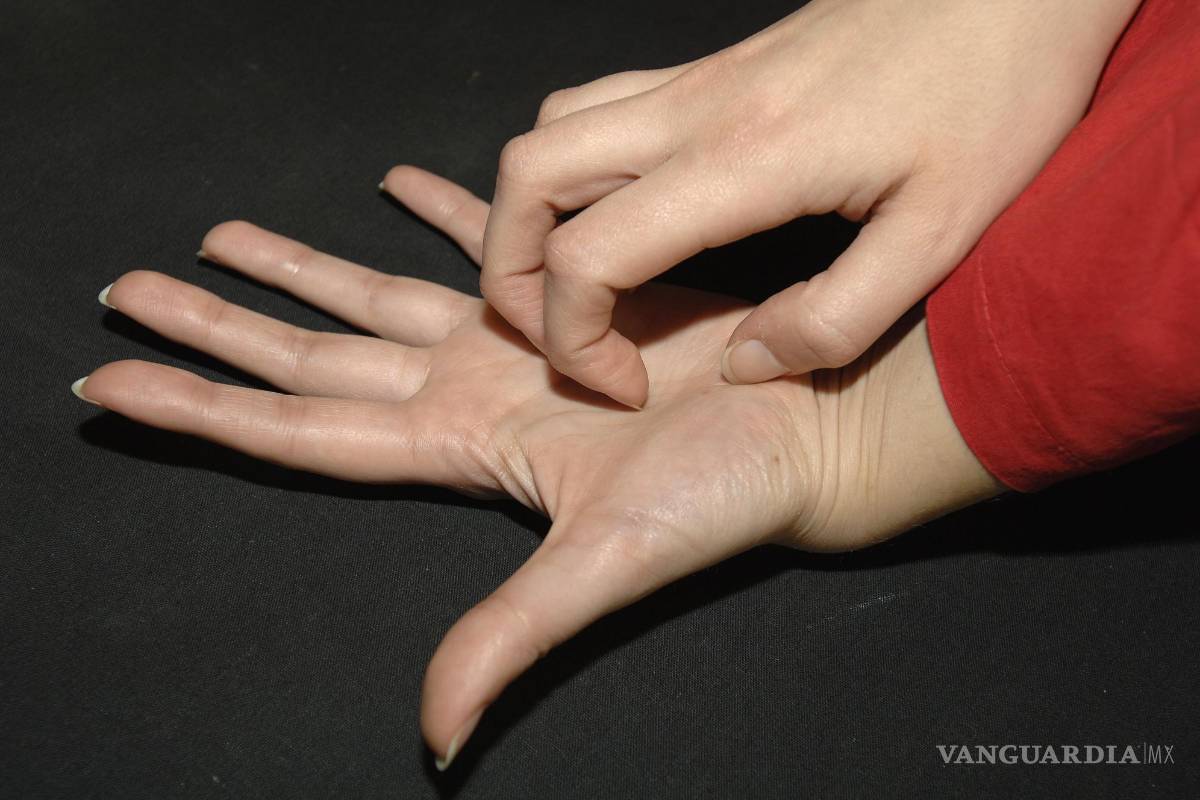 $!La OMS calcula que unos 200 millones de personas en el mundo sufren sarna.