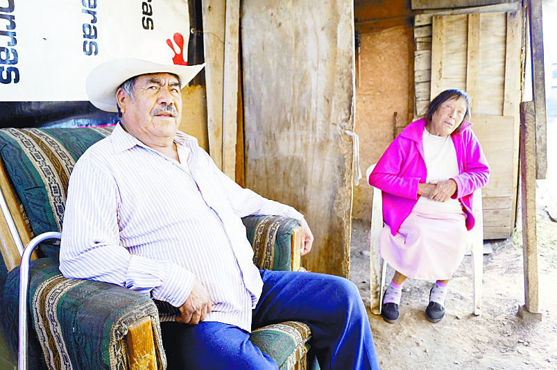 Los Solís Palomares: la unión hace la fuerza