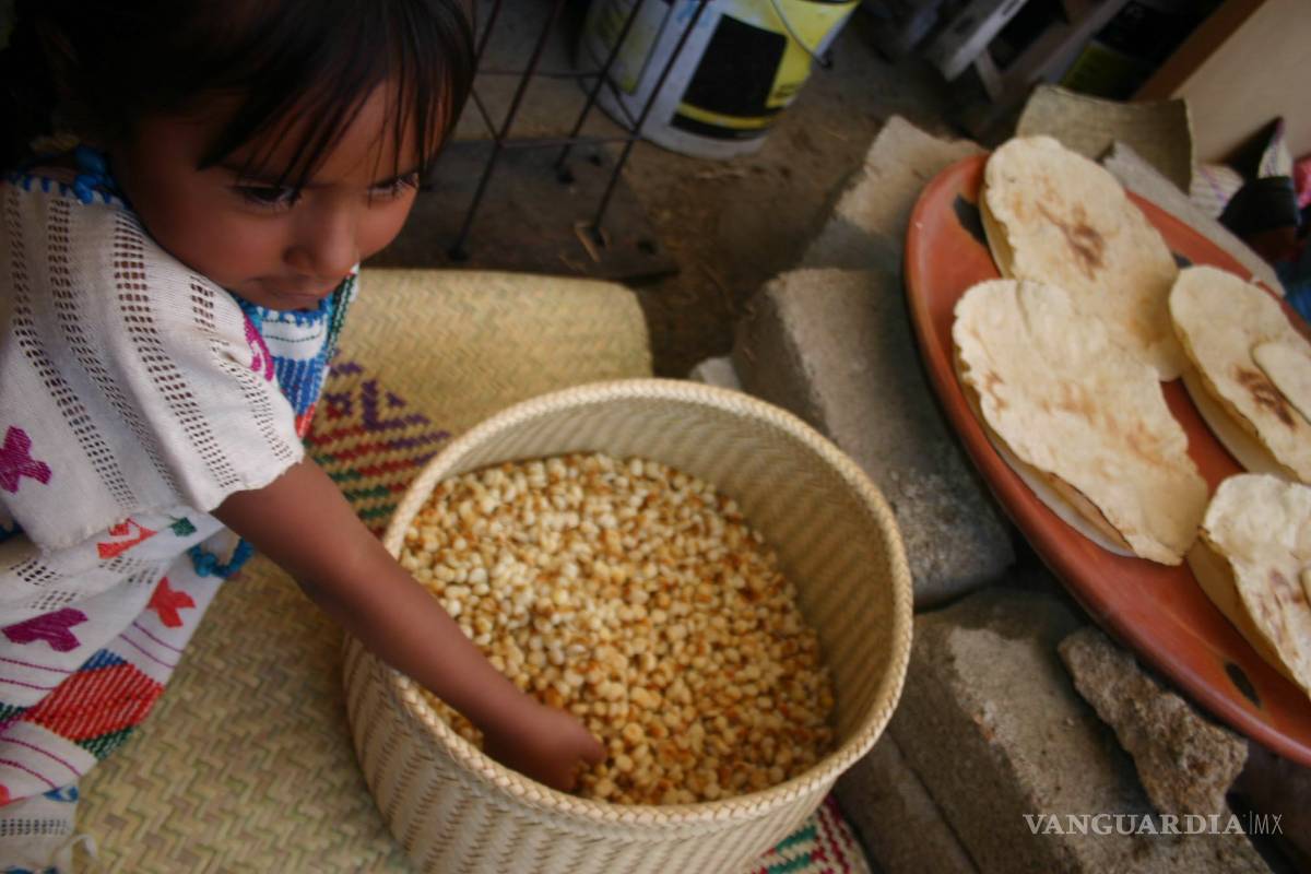 Favorece tortilla de maíz desarrollo infantil: experto