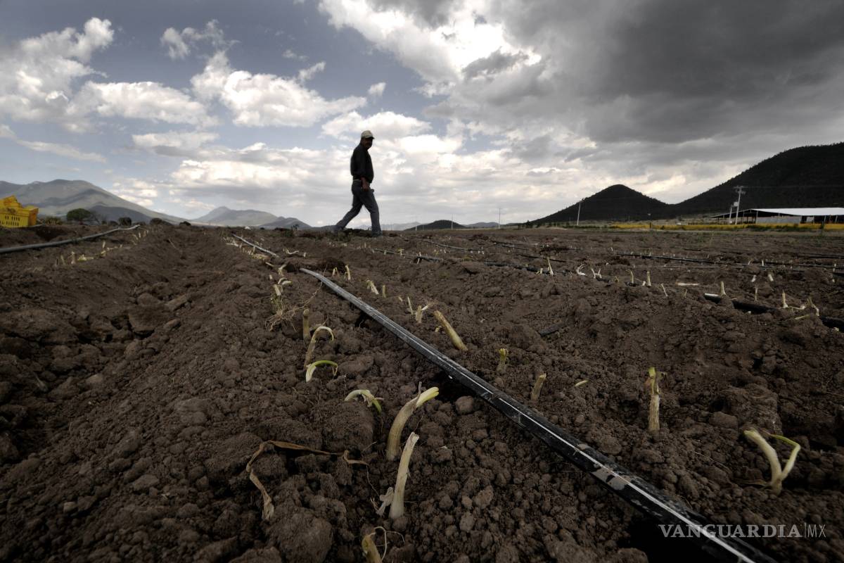 Imparte Sagarpa en Coahuila y Nuevo León, talleres de capacitación sobre agricultura familiar