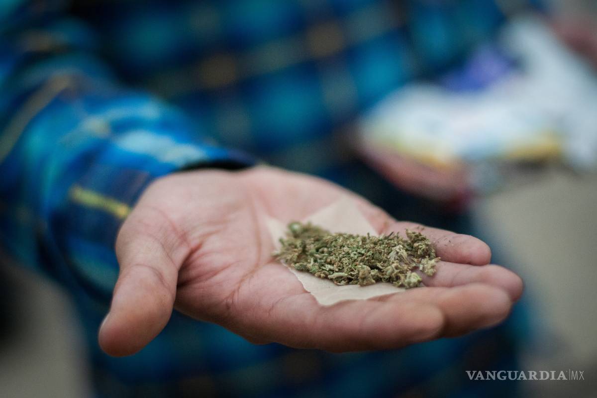 Planteará México ante ONU ‘abrir’ debate global sobre la mariguana