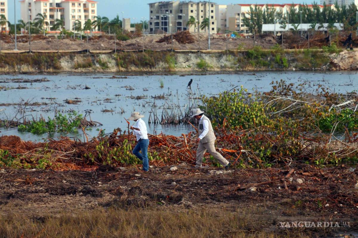 Tienen los dueños de Tajamar autorización oficial, asegura la Semarnat