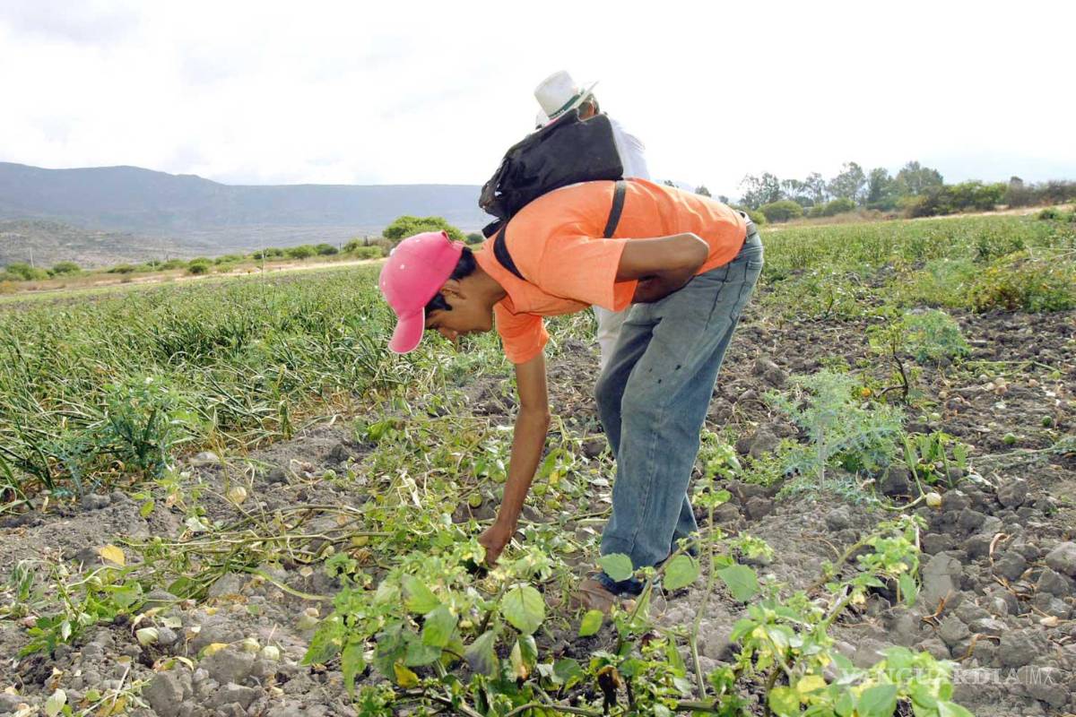 Pide Save The Children asegurar a adolescentes trabajadores en México