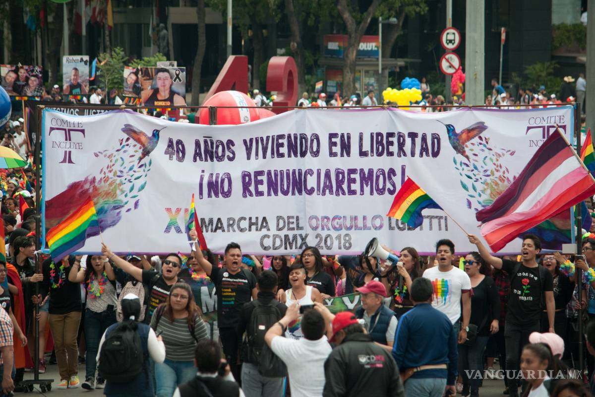 Próximo Presidente debe gobernar para nosotros: Comunidad LGBTTI