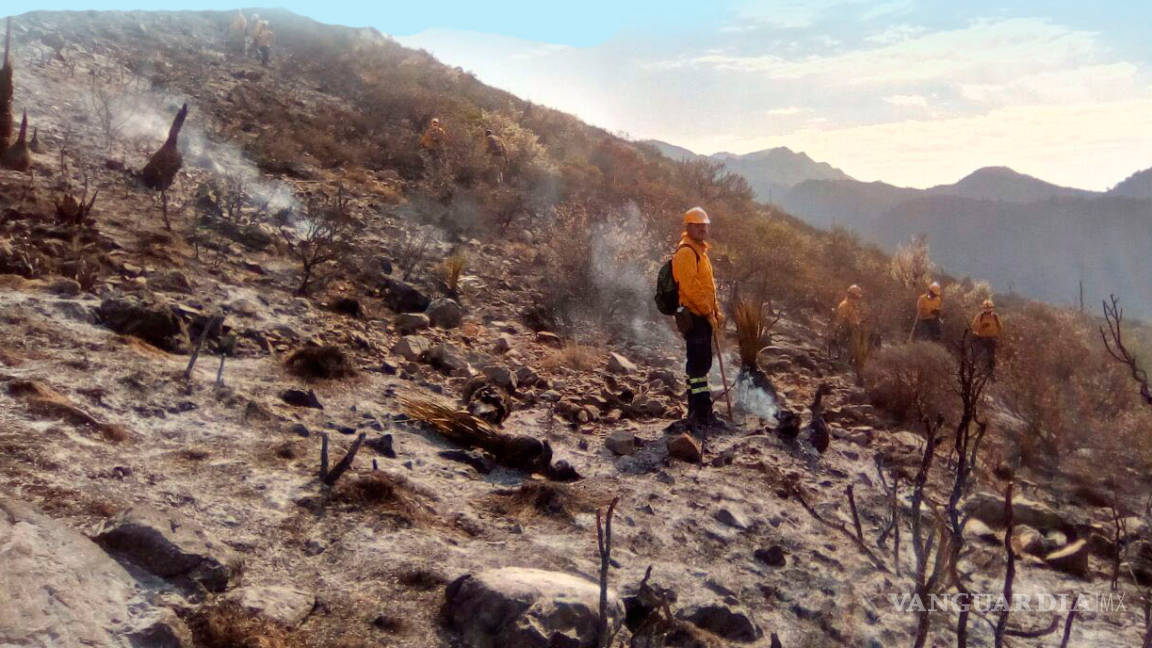 Encarcelan a 2 presuntos involucrados por incendio en cañón de San Lorenzo de Saltillo; controlan 70%, 450 hectáreas devastadas