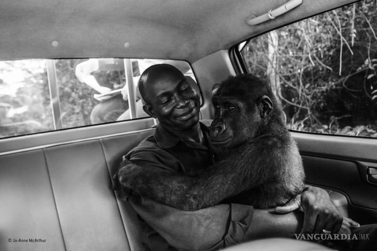 Las 10 mejores fotografías de naturaleza del año