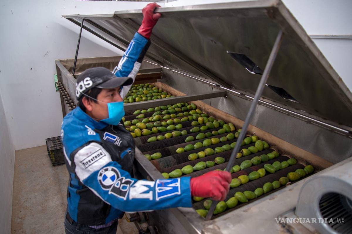 Coahuila, entre estados donde economía podría estar en riesgo, tras victoria de Trump