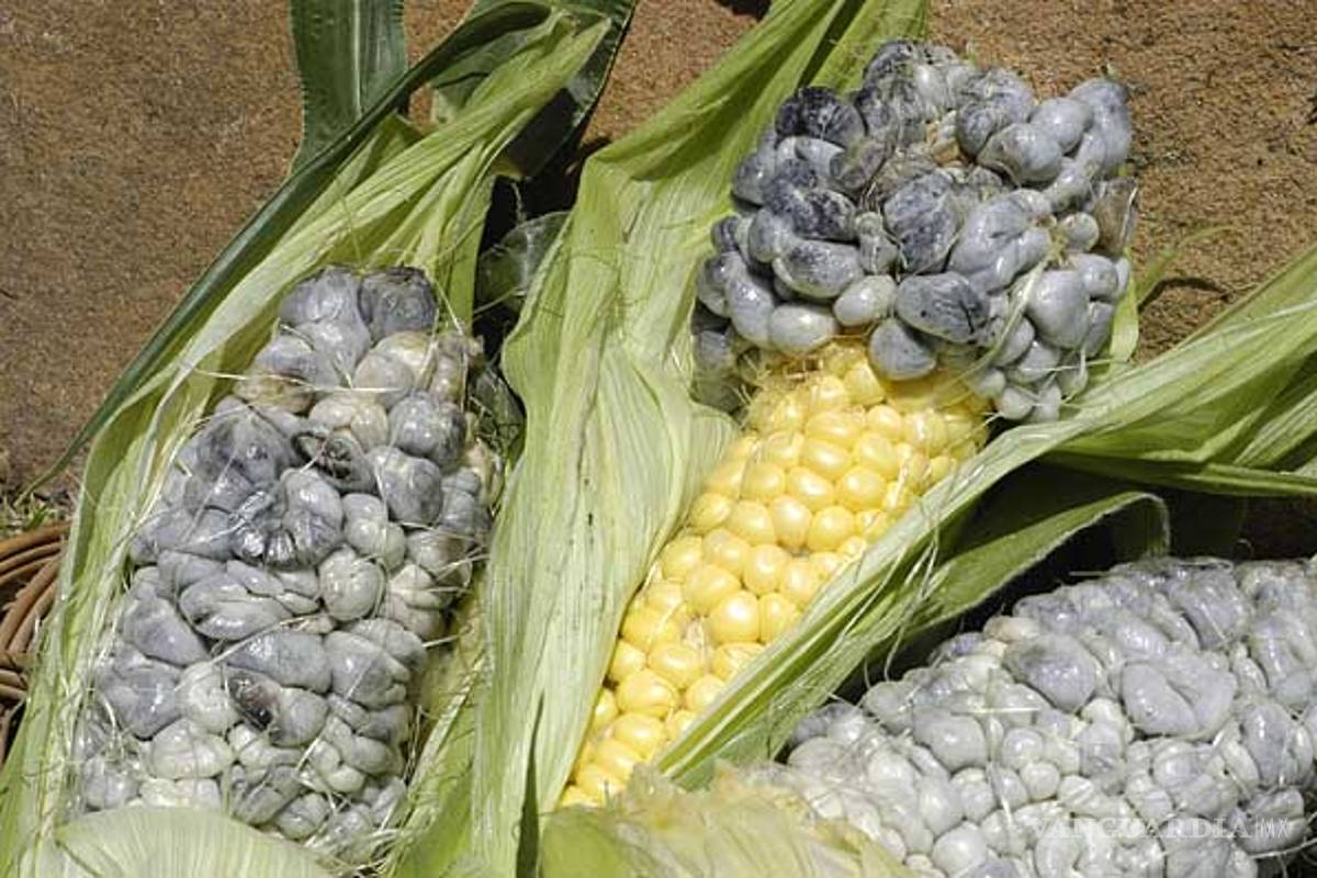 Huitlacoche podría ayudar a controlar la diabetes