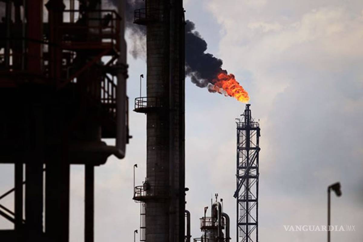 Proyectos de AMLO van contra combate a crisis climática: Greenpeace