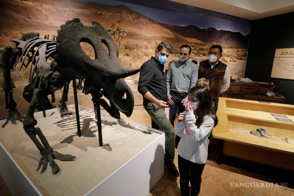 Inauguran exposición de dinosaurios robotizados en Museo del Desierto