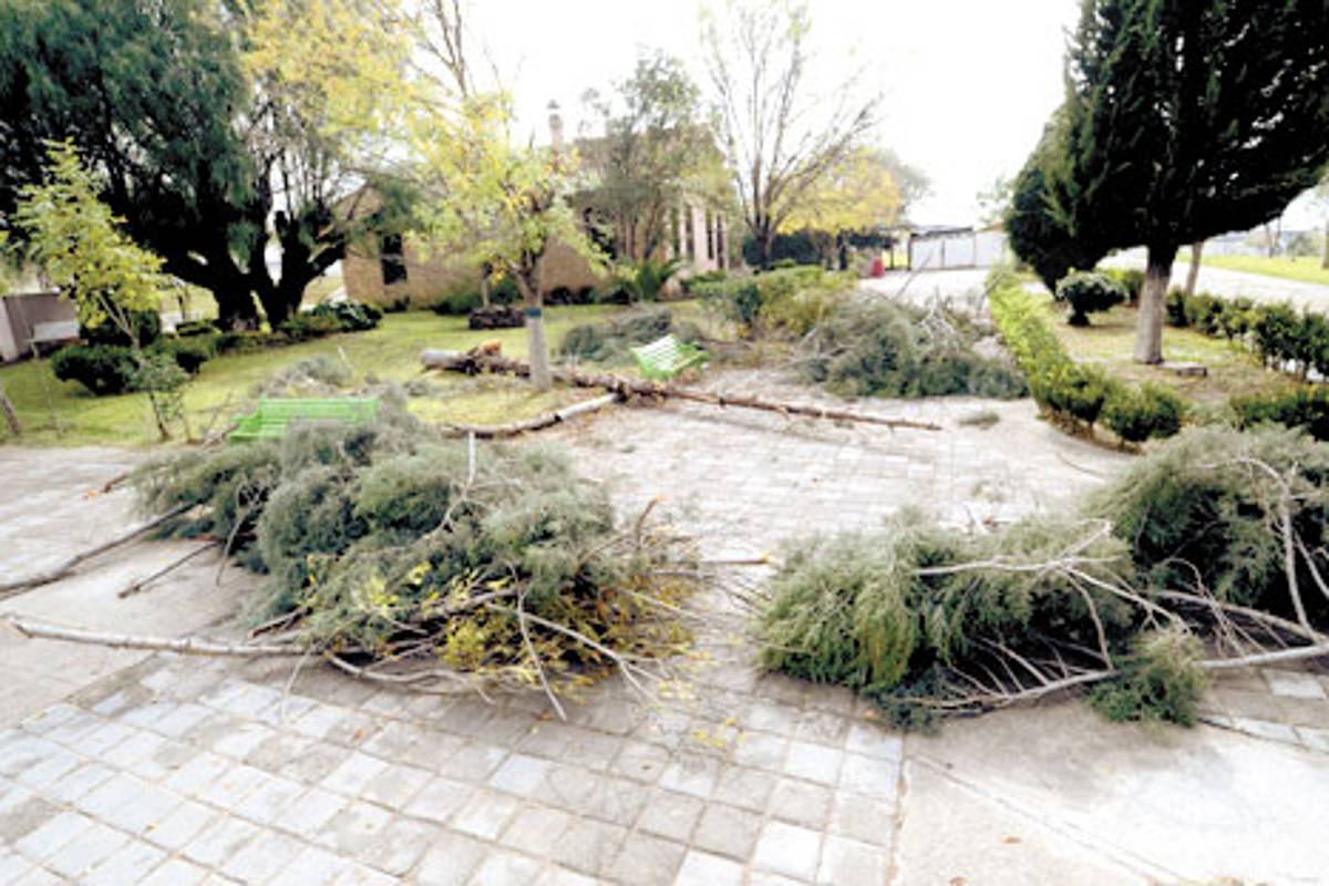 $!El Venustiano Carranza, ¿basurero o parque deportivo?