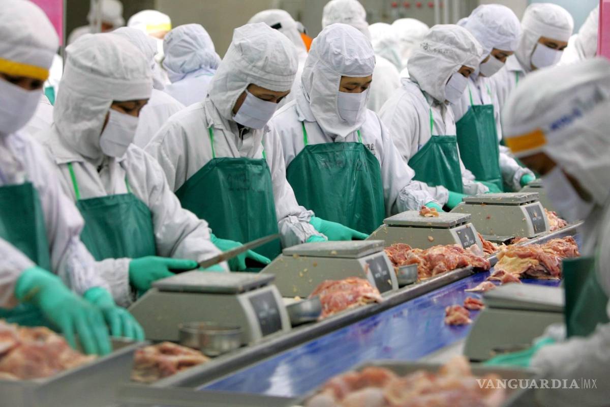 Una investigación publicada en la revista Science revela la mortífera evolución genética de la gripe aviar