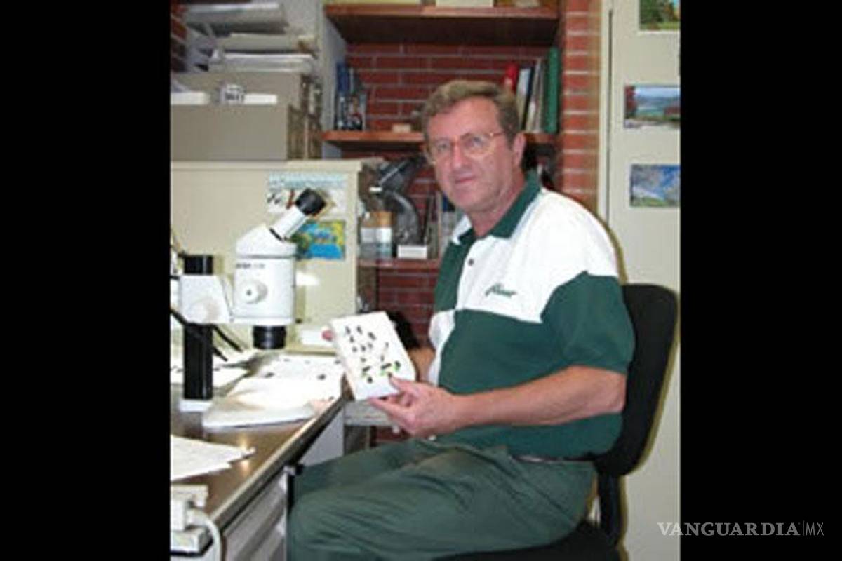 Existen en México más de 4500 especies de chinches