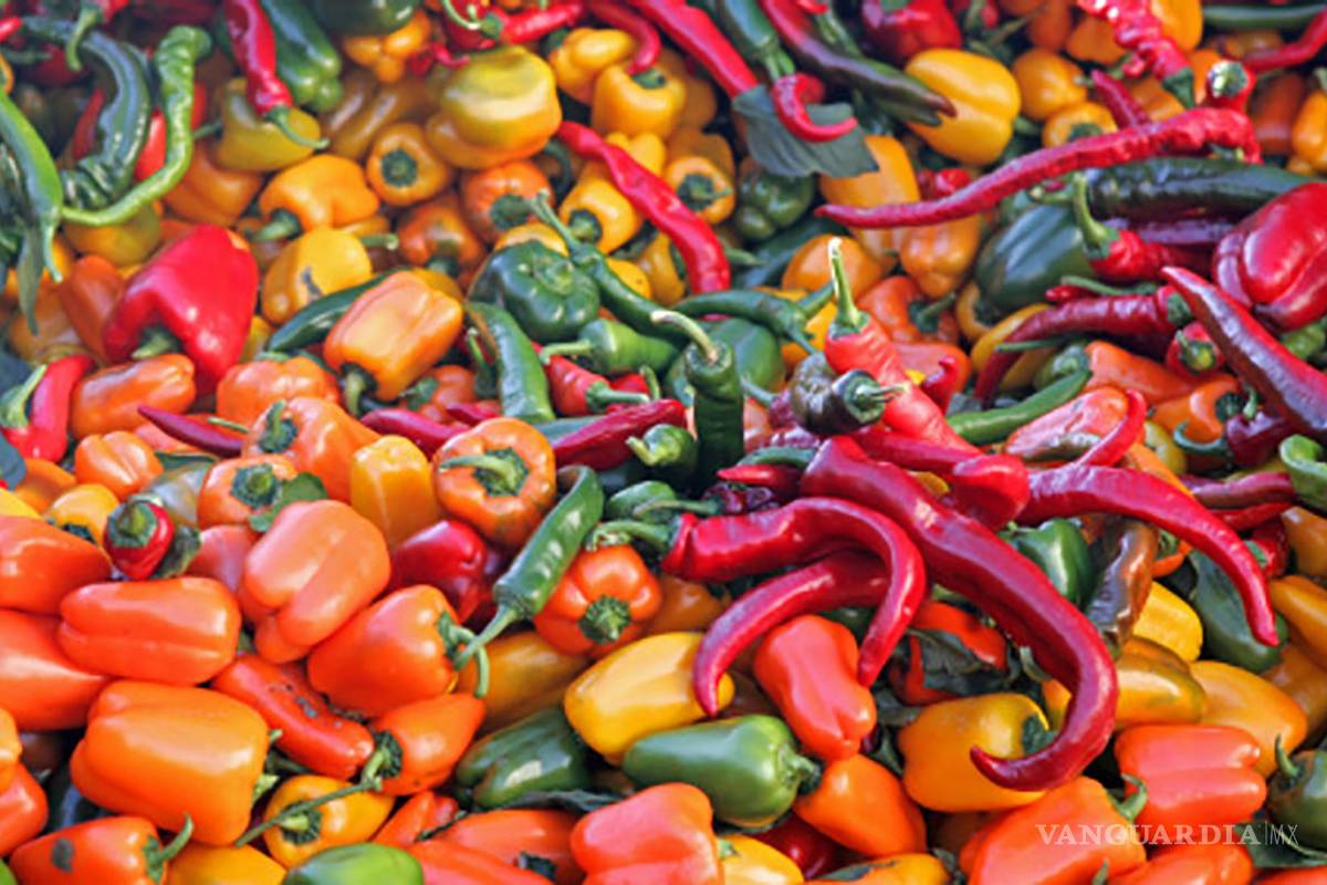 Chiles ya cuestan hasta 38% más
