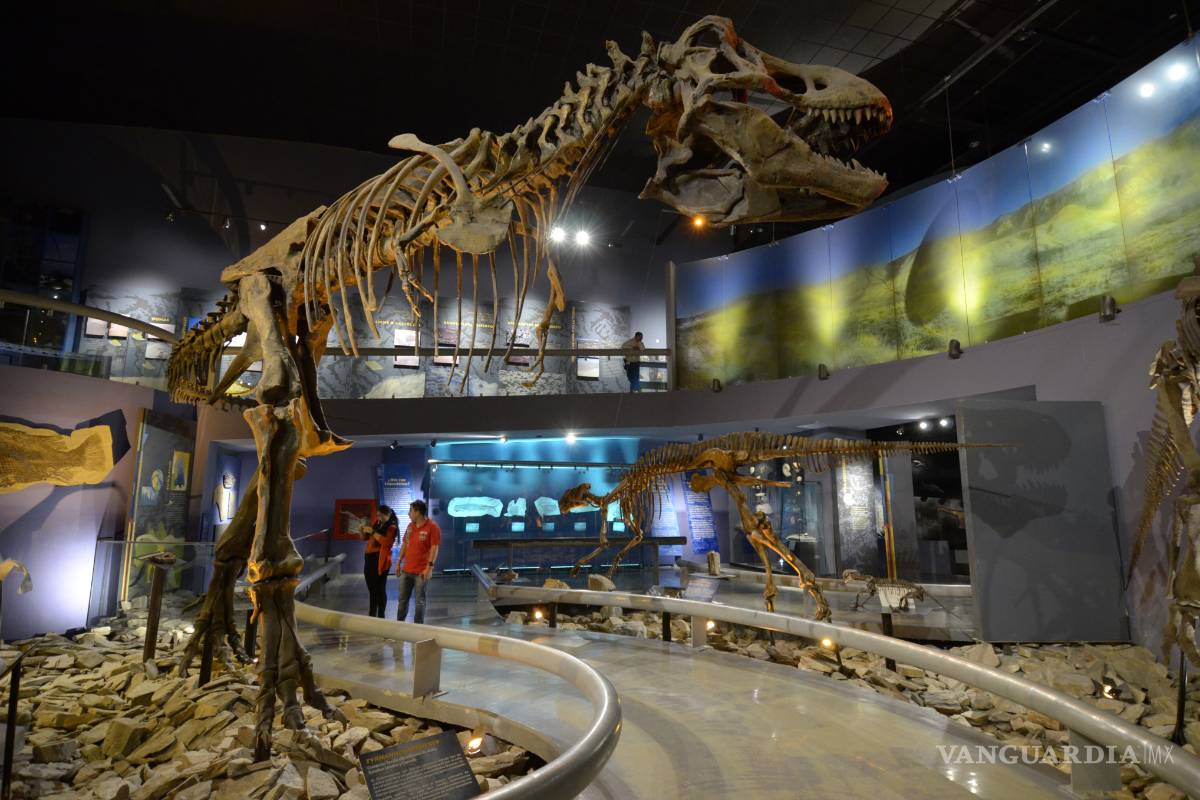 En Saltillo dinosaurios robotizados te esperan en la Feria del museo del Desierto
