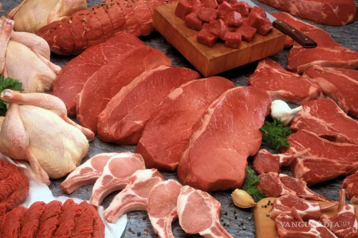 Invertirá sector cárnico 107 mil mdp pese a aranceles