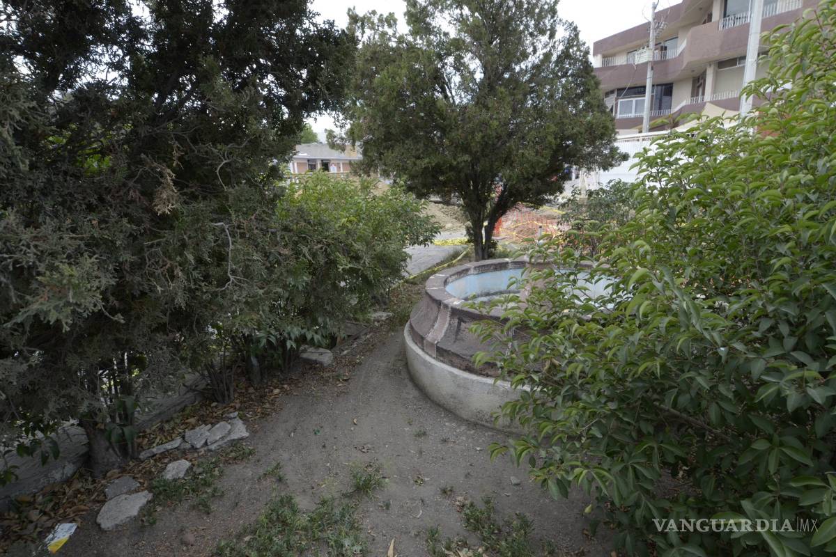 Palomas no tienen agua que beber porque fuentes públicas de Saltillo no funcionan