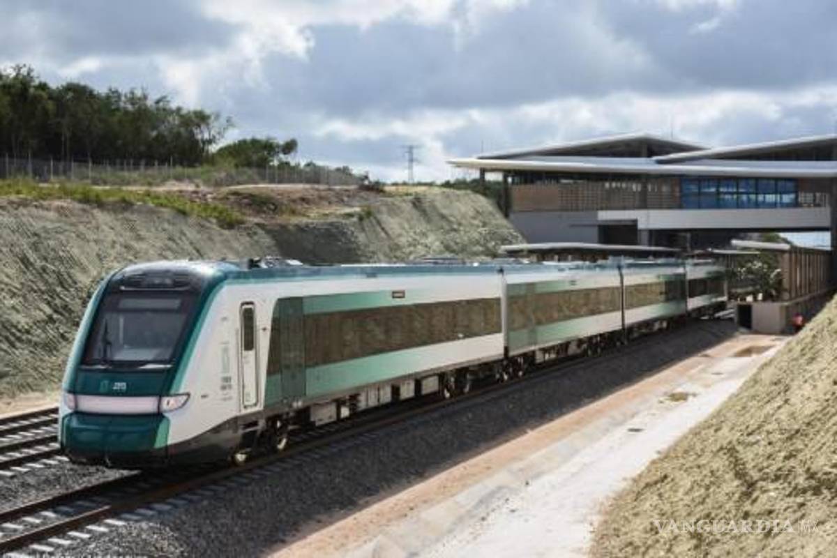 Vigilarán impacto ambiental del Tren Maya