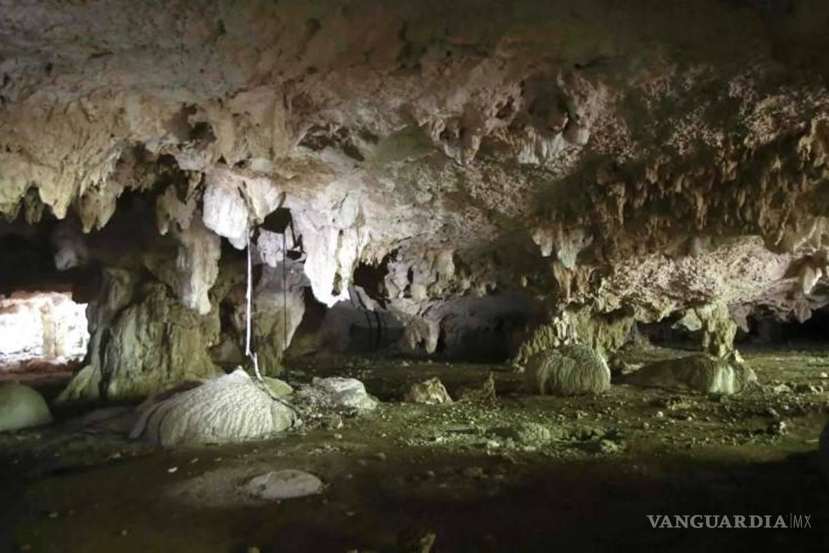 Sedena podría pagar hasta 44 mdp en monitoreo de cenotes y lagunas