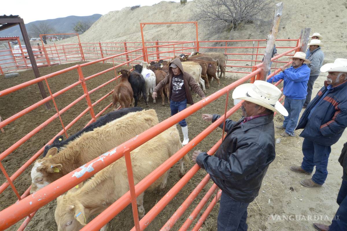 Las Mangas tendrá su purificadora