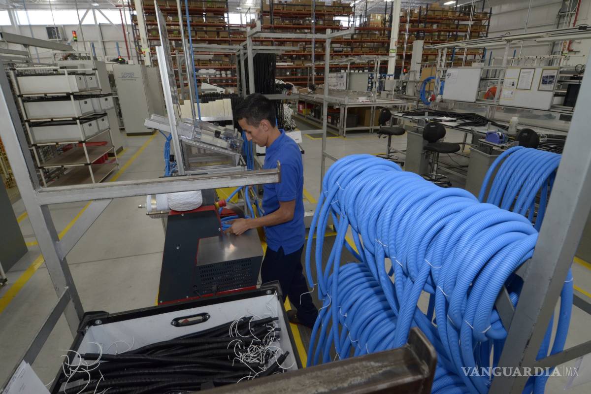 Invierte Voss USD 15 millones