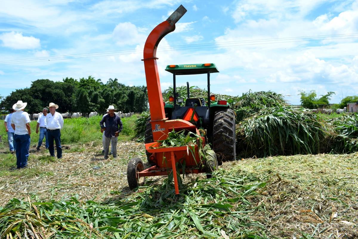 Van por un incremento de créditos de 15% para el 2017