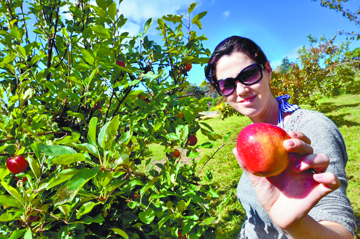 $!La dieta del otoño