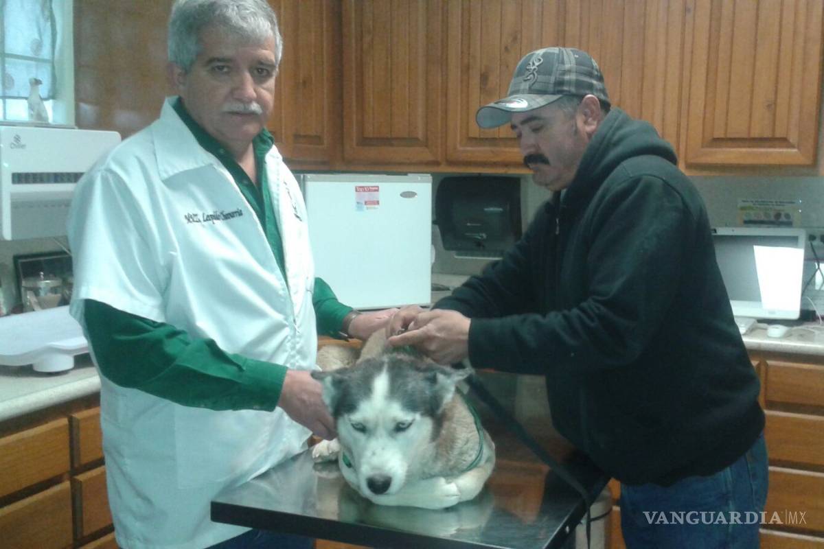 Padecen mascotas "Moquillo" y "Parvovirus" por bajas temperaturas