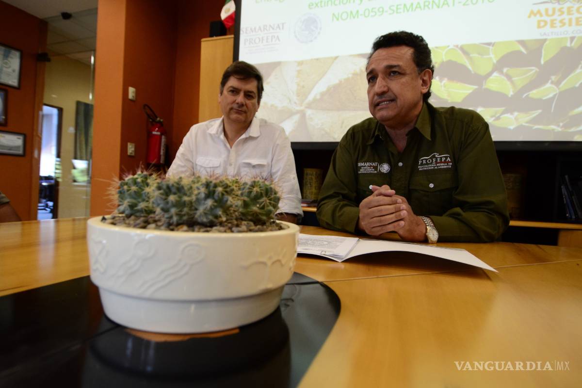 Depositan en Museo del Desierto de Saltillo plantas del desierto decomisadas