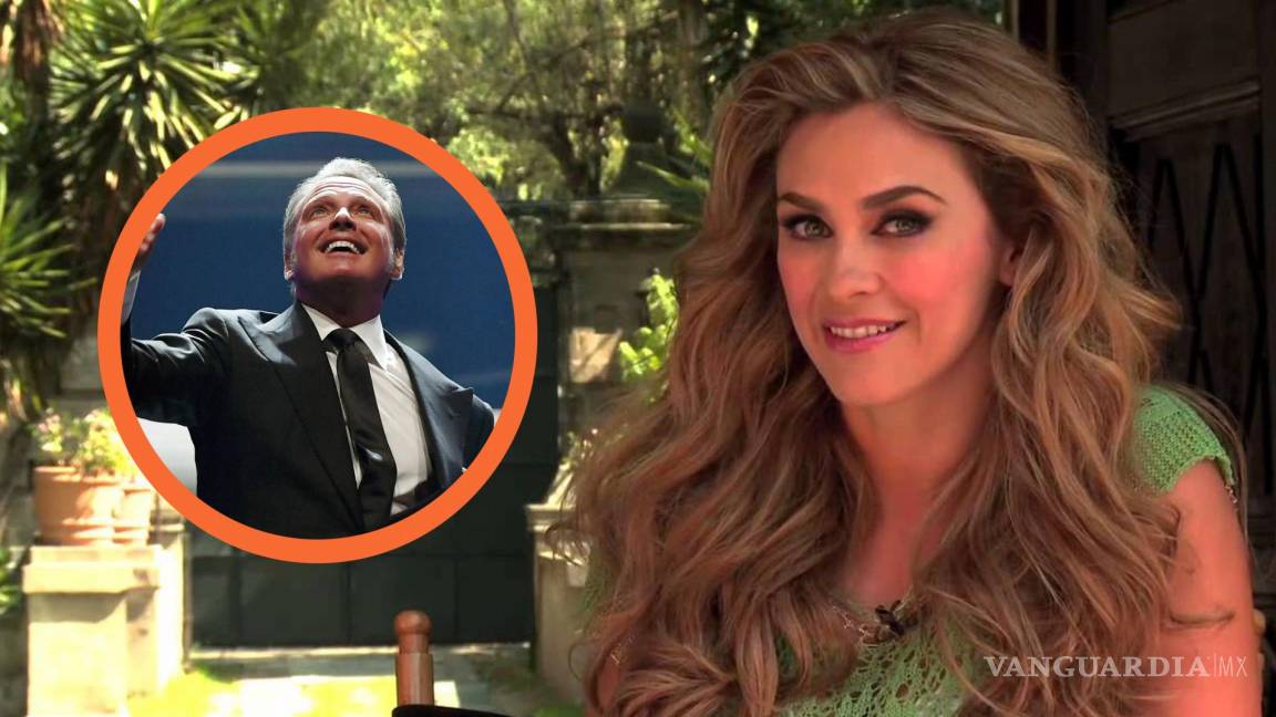 Confirman que Aracely Arámbula sí demandó a ‘Luismi’ por ser deudor alimentario