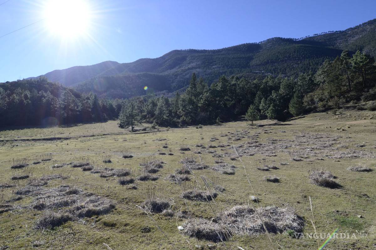 Nieve brilla por su ausencia en Arteaga