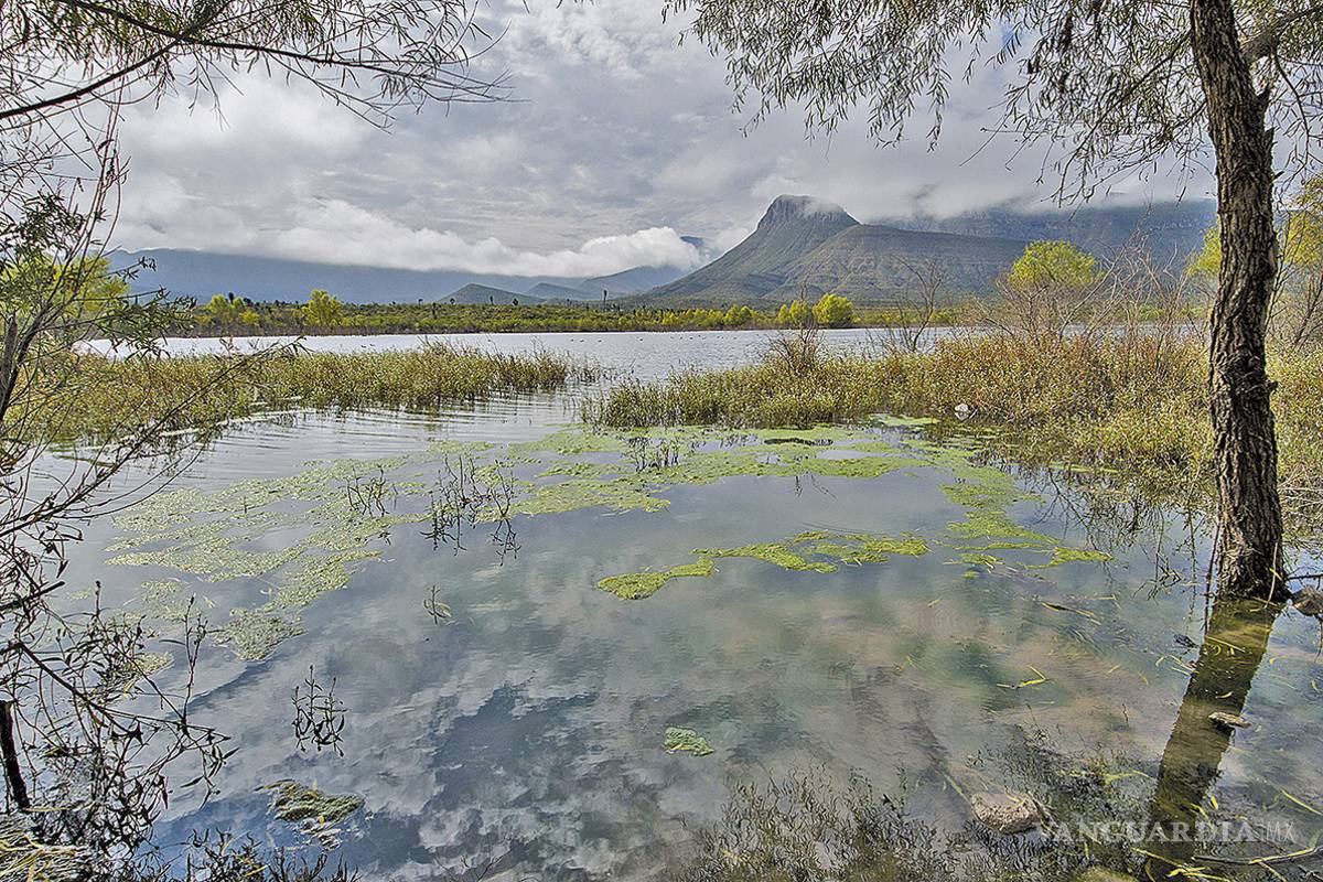 Lleno de basura y desechos; visitantes convierten en basurero la presa Palo Blanco