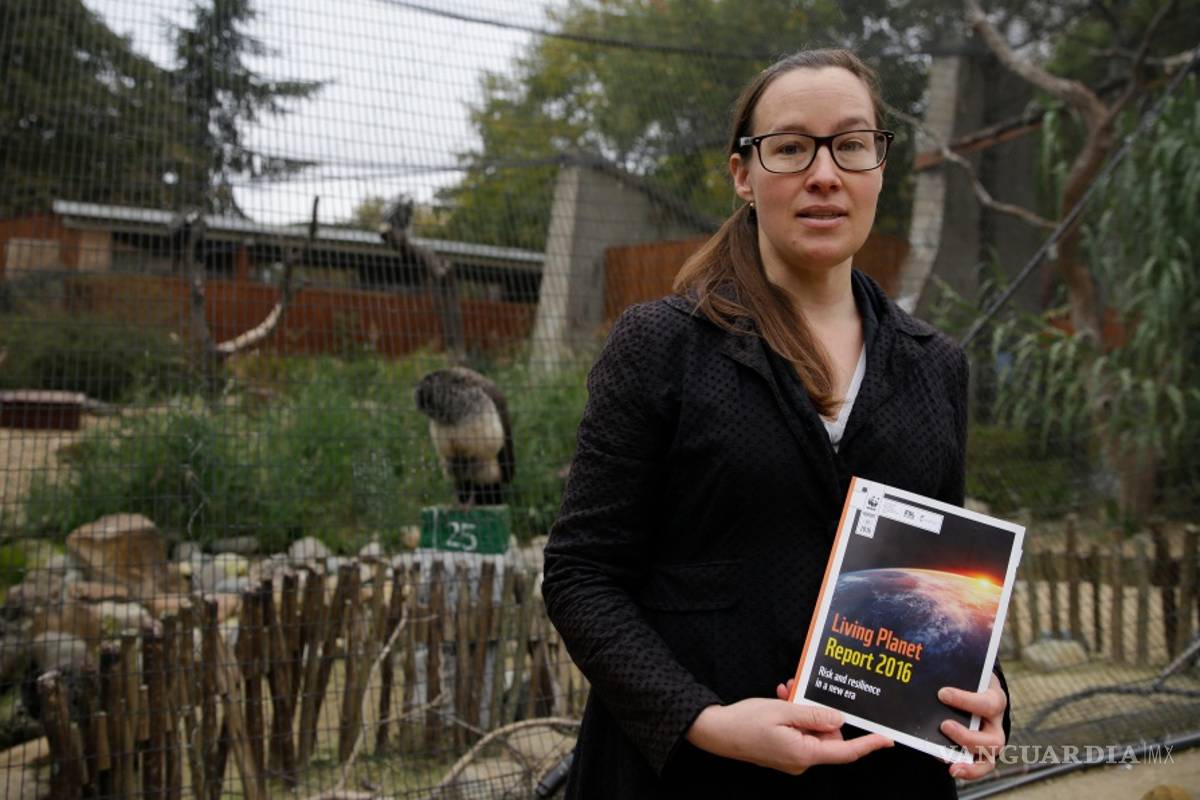 Ríos y mares perdieron más del 80 por ciento de su fauna