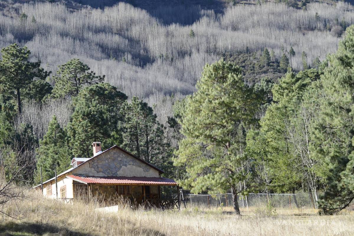 Alcanzan cabañas de Arteaga 98 por ciento de ocupación para navidad